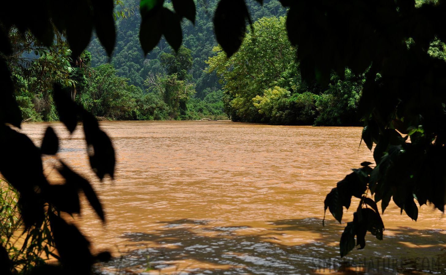 Vang Vieng [70 mm, 1/640 sec at f / 8.0, ISO 200]